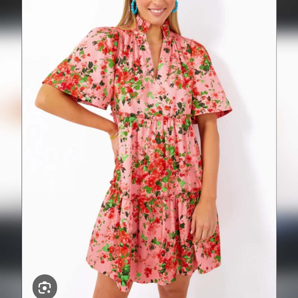 Tuckernuck Peony Meadows Crawford Floral Mini Dress SZ Small